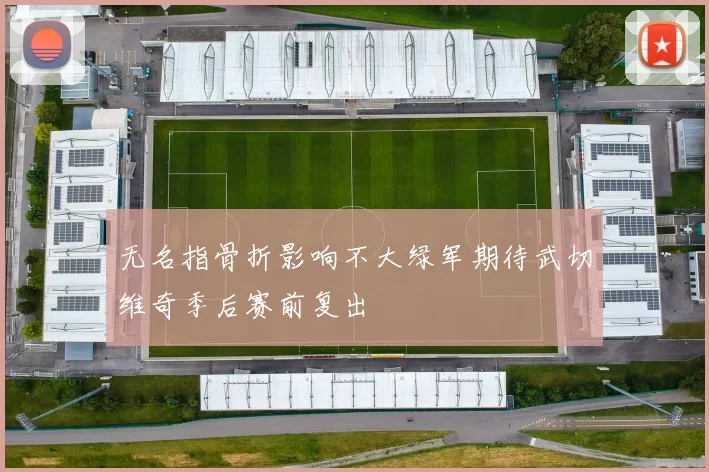 无名指骨折影响不大绿军期待武切维奇季后赛前复出